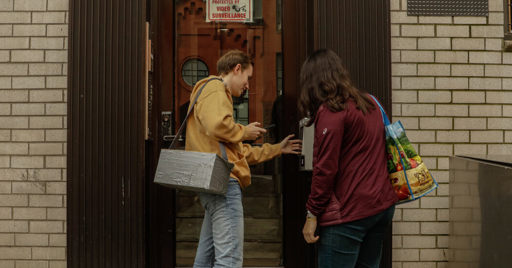 Featured image for Unraveling the Urban Attitude: Scientists Probe City Mice