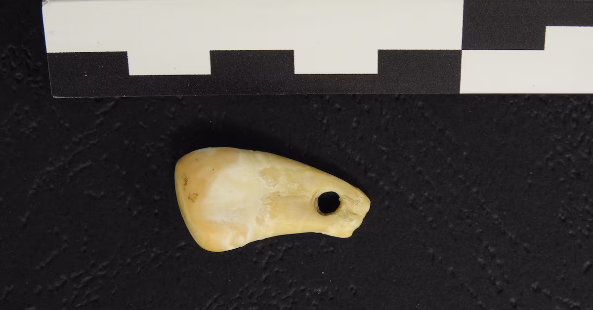 "DNA analysis reveals owner of 20,000-year-old pendant"