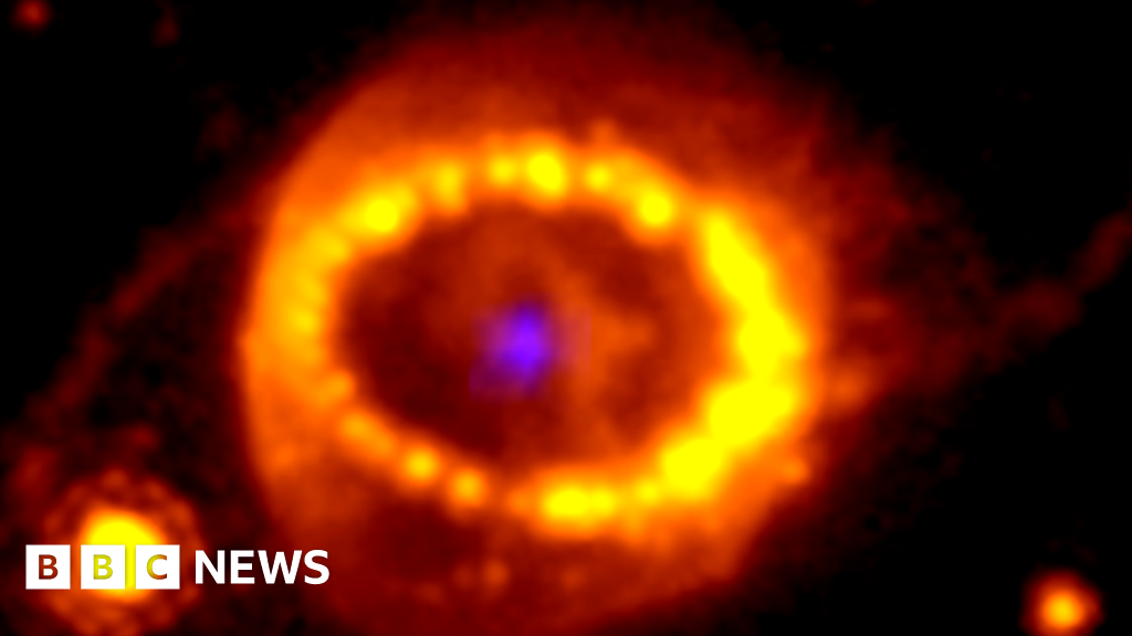 "James Webb Space Telescope Unravels Supernova Mystery"