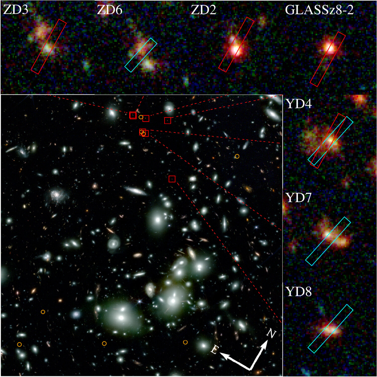 Uncovering the Origins of a Massive Galaxy Cluster in the Early Universe.