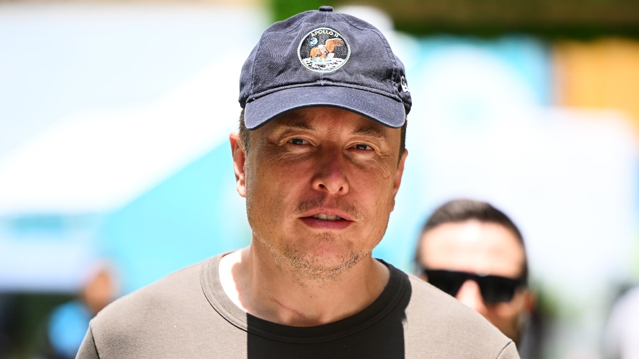 Elon Musk's Controversial Remarks on AI Czar Role of Kamala Harris and Vice President