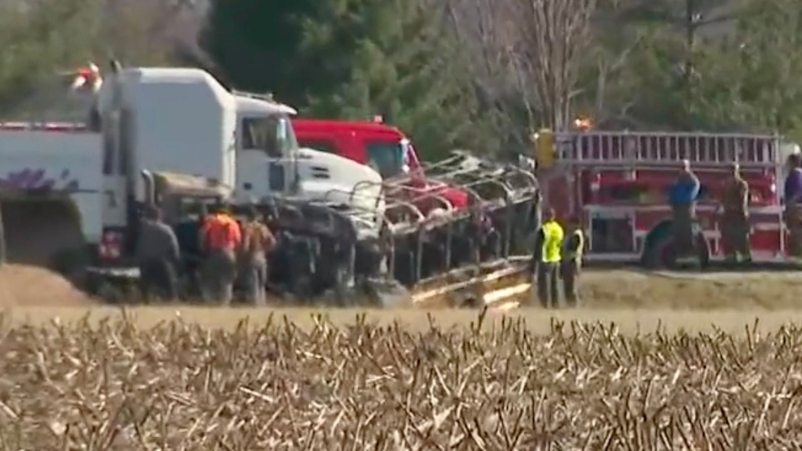 Featured image for Tragic Illinois School Bus and Semi-Truck Collision Claims 5 Lives