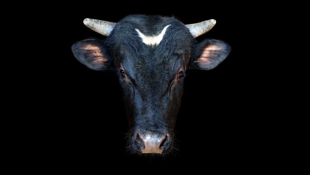 "Warren Buffett's Stock Selling Amidst Dow Jones Rally: What's Next?"