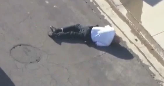 Bee swarm injures 2 in Los Angeles neighborhood.