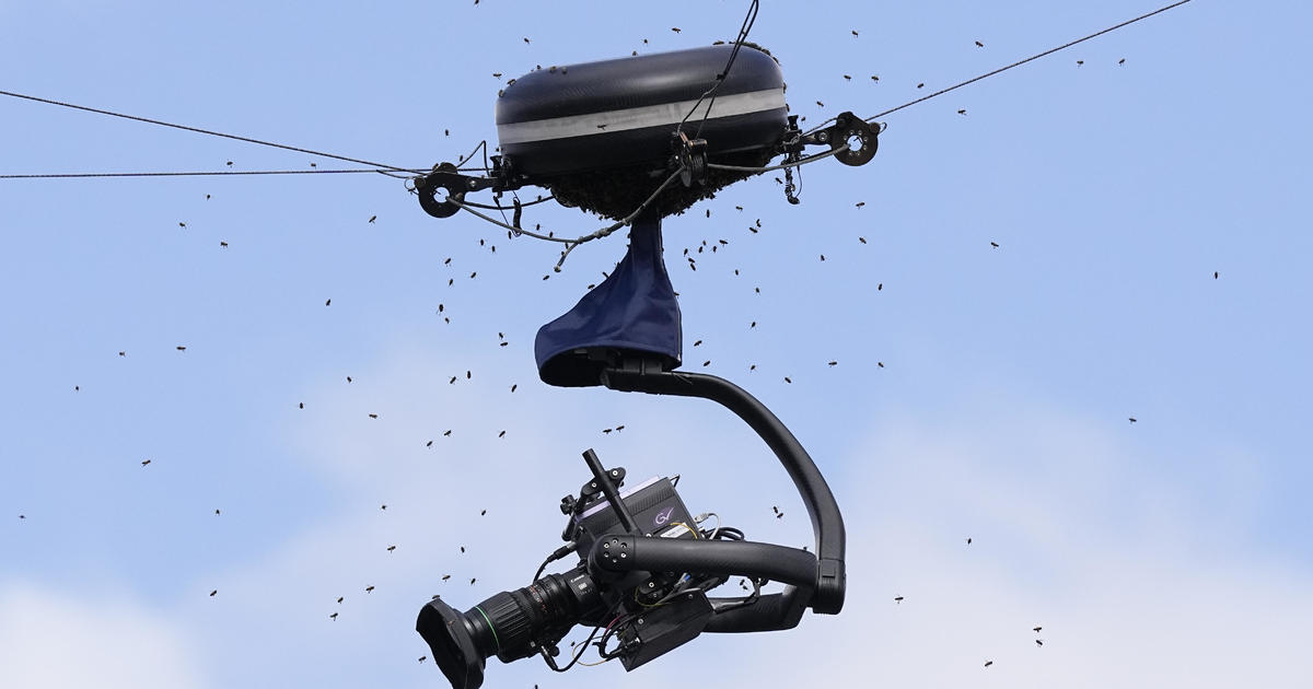 Featured image for "Bee Invasion Delays Indian Wells Tennis Tournament"