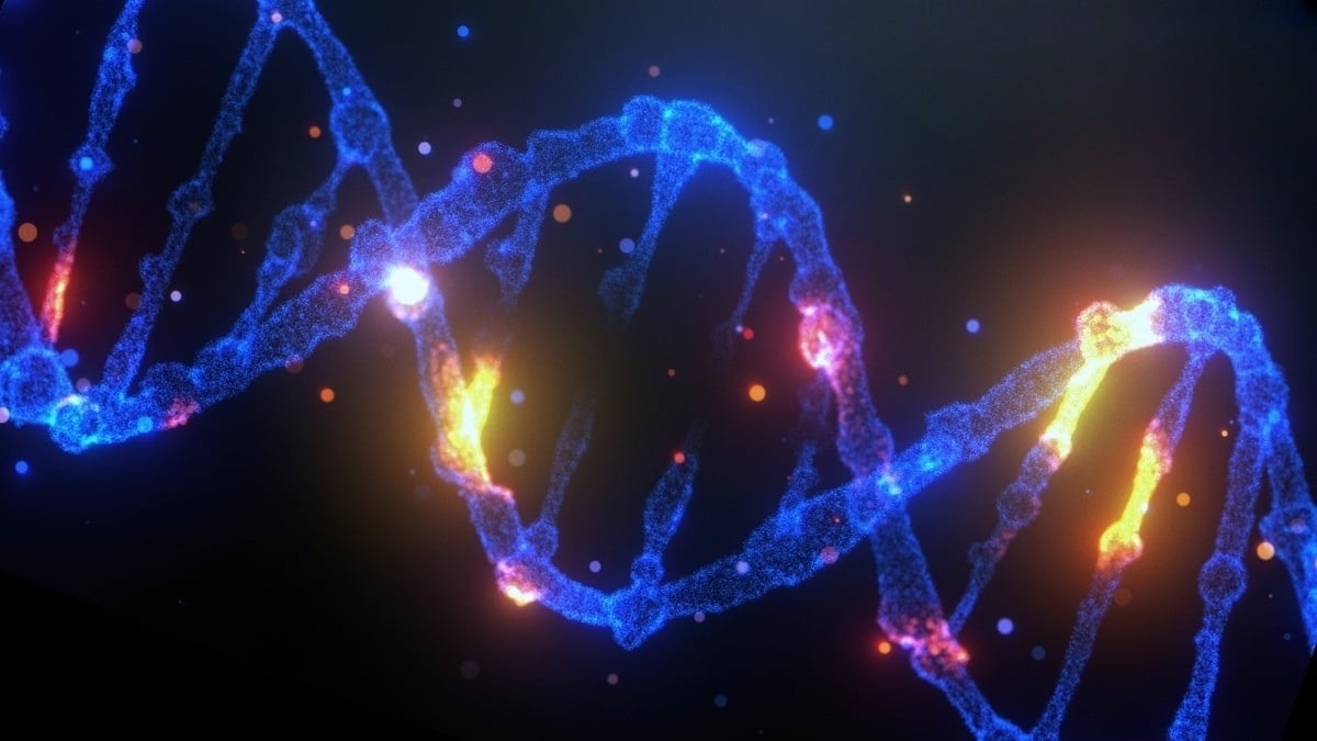Featured image for Reprogramming 'Junk' DNA to Fight Cancer Internally