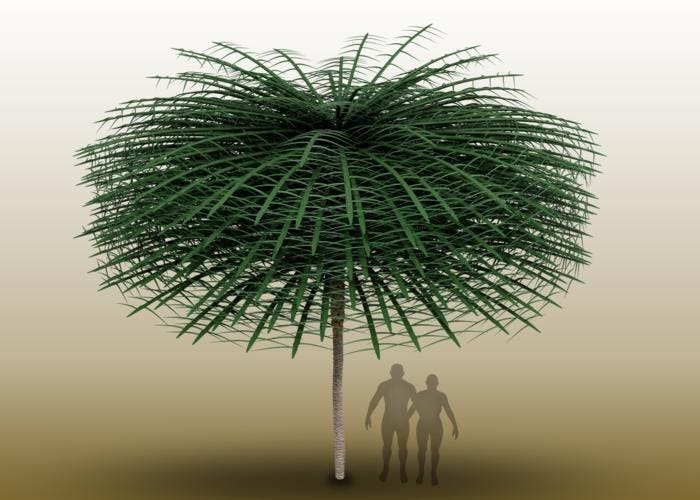 Featured image for "Unearthed: Bizarre 350-Million-Year-Old Tree Astounds Scientists"