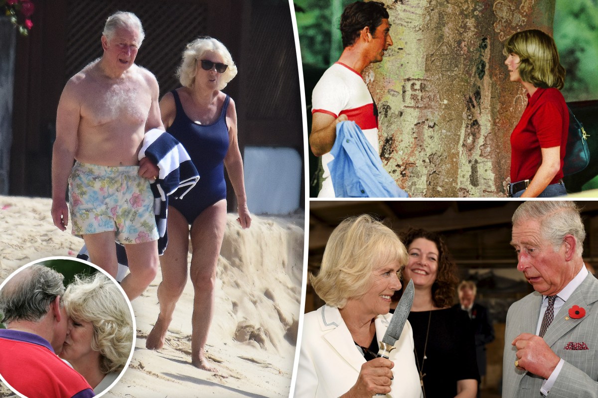 The Evolution of Queen Camilla's Image in Pictures.