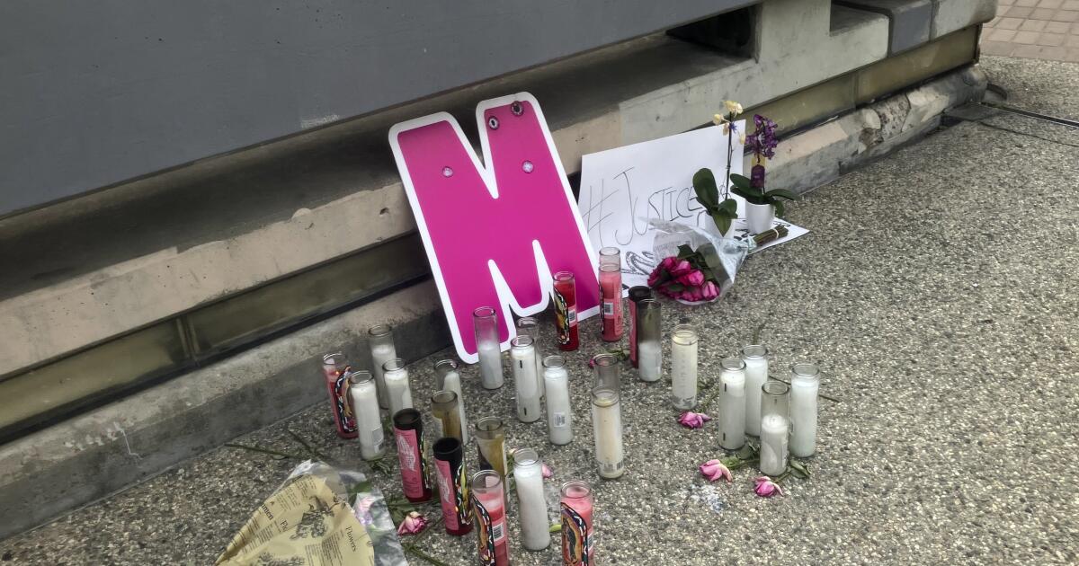 Arrest Made in Brutal Slaying of LA Model Found in Refrigerator