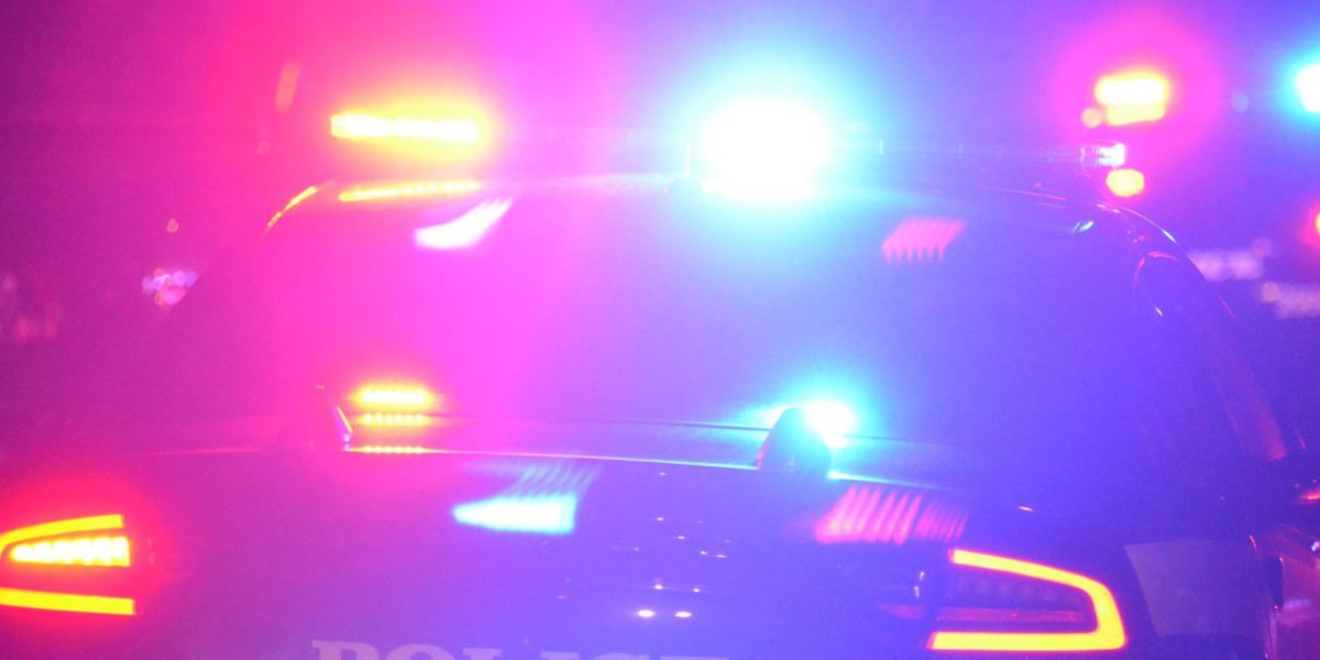 Colorado DUI suspect attempts to swap seats with dog during traffic stop