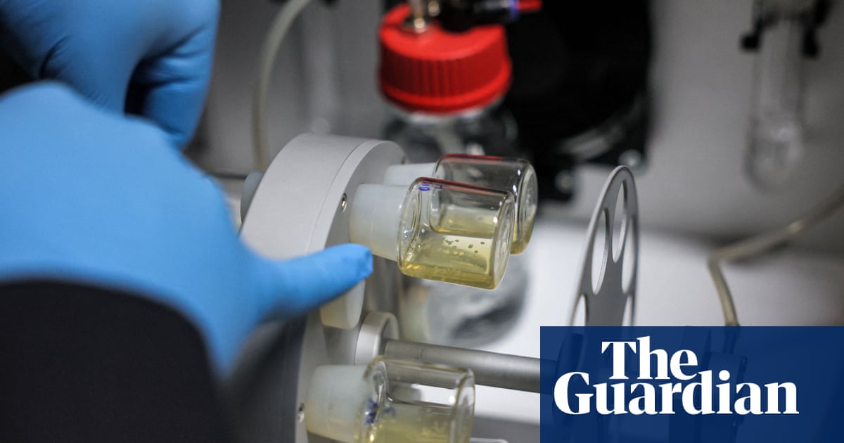 Featured image for The Ethics of Synthetic Embryos: A Legislative Challenge.