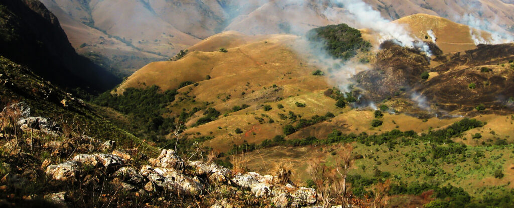 Featured image for "Ancient African Rock Formations: Evidence of Earliest Earthquakes"