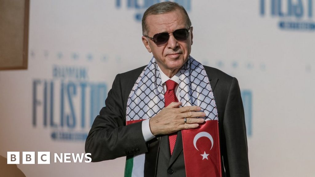 "Global Protests Emerge as Turkey Leads Charge in Support of Palestine and BDS Movement"