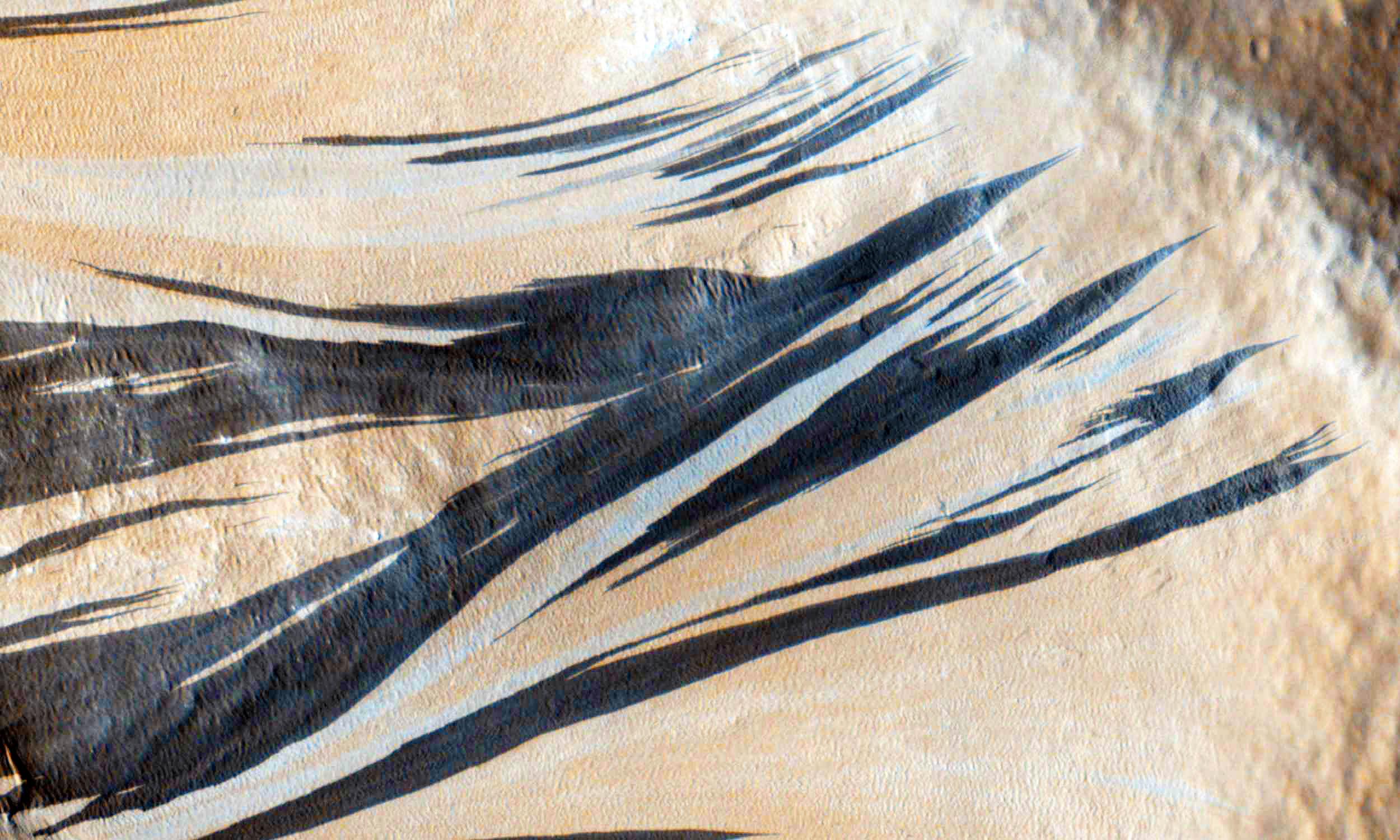 Featured image for New Study Presents Alternative Explanations for Martian Stripes