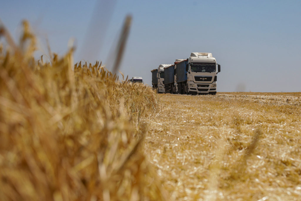 Ukraine's expiring grain deal sparks global food security concerns