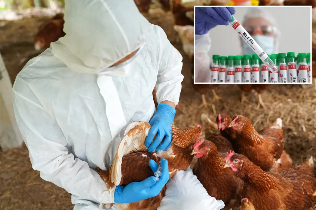 "Colorado Confirms Multiple Bird Flu Cases Among Poultry Workers"