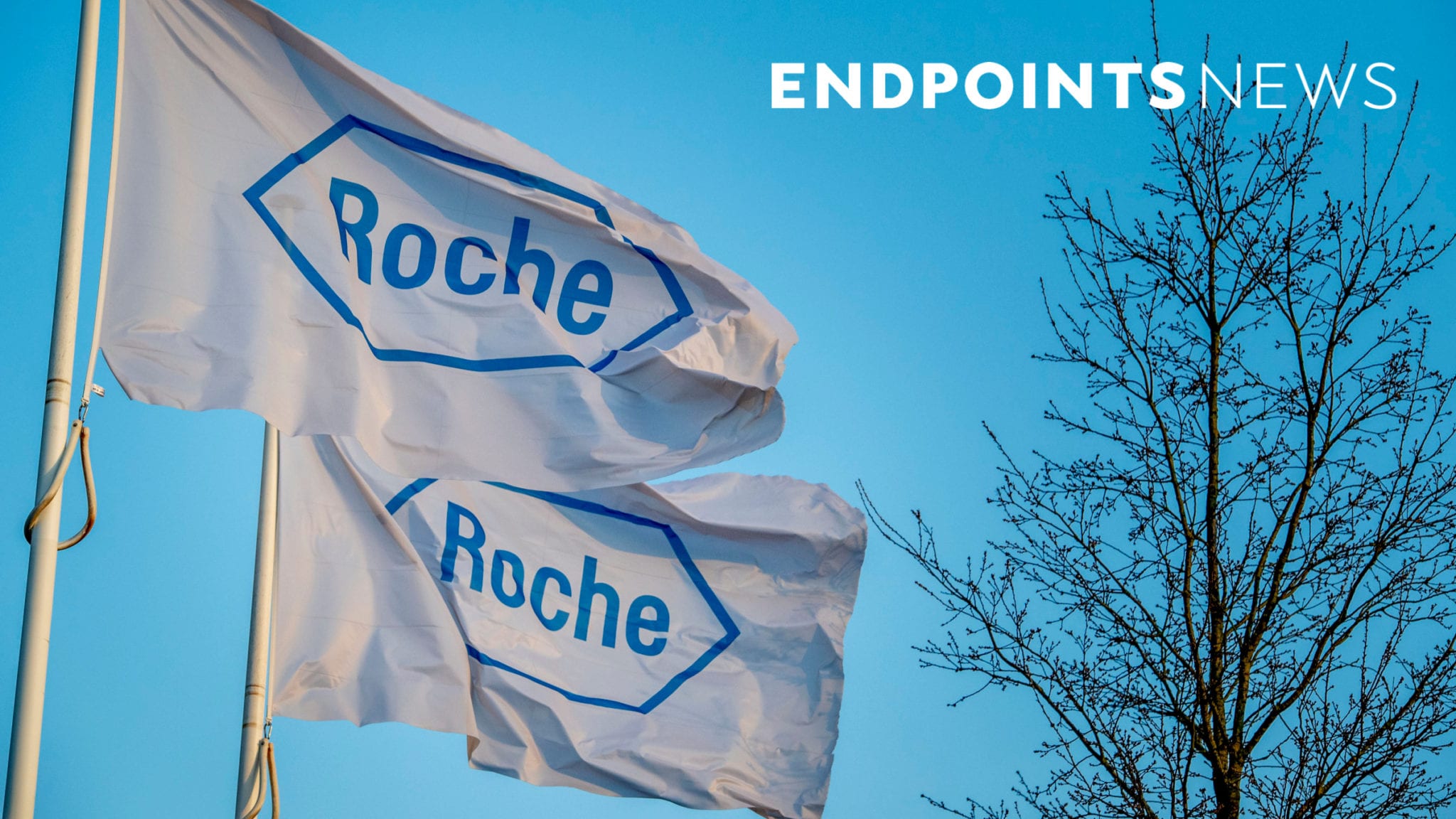 Featured image for Promising Early Study Shows Roche's Sequel to Failed Alzheimer's Antibody Holds Excitement