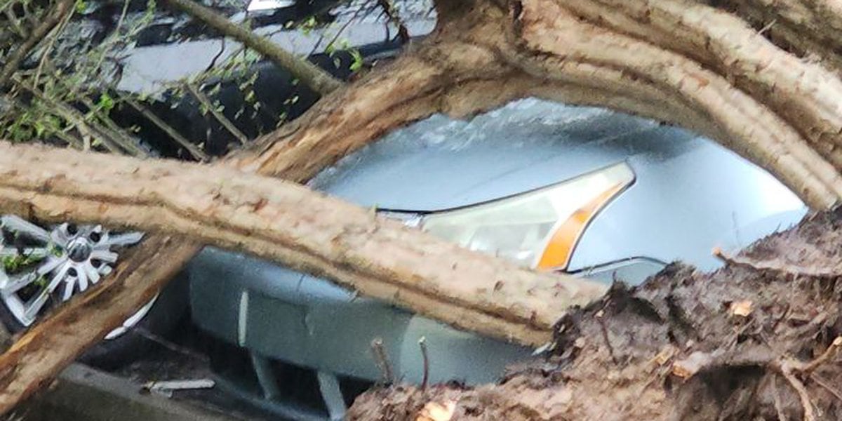 Louisville hit by EF-1 tornado causing damage and one fatality.