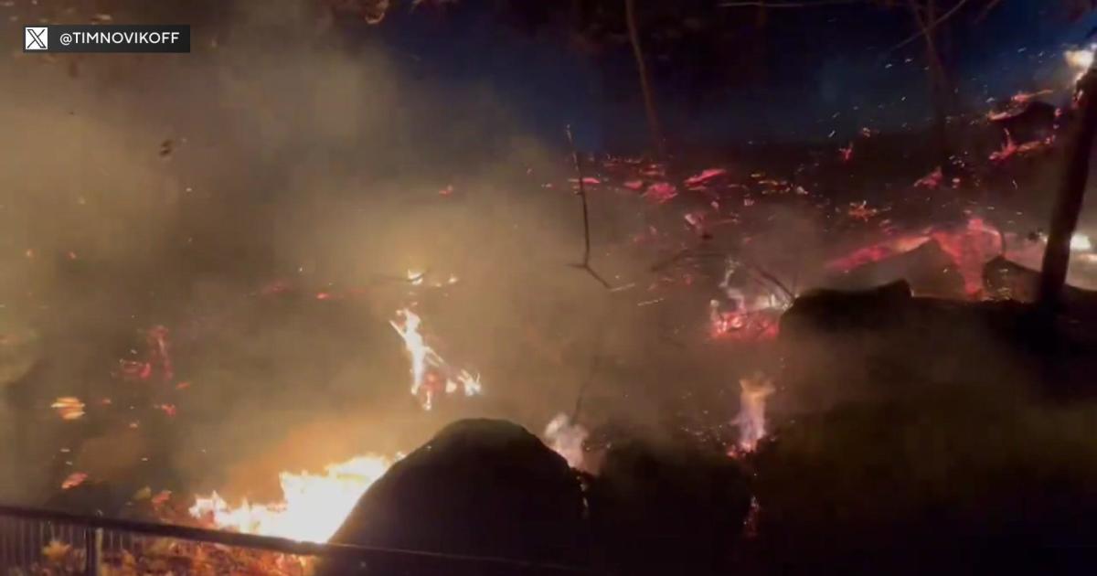 Featured image for FDNY Battles Persistent Brush Fire in Brooklyn's Prospect Park