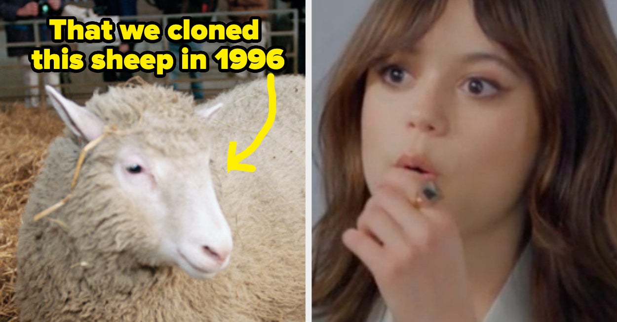 Featured image for "Mind-Blowing Truths That Defy Logic and Challenge Our Understanding"