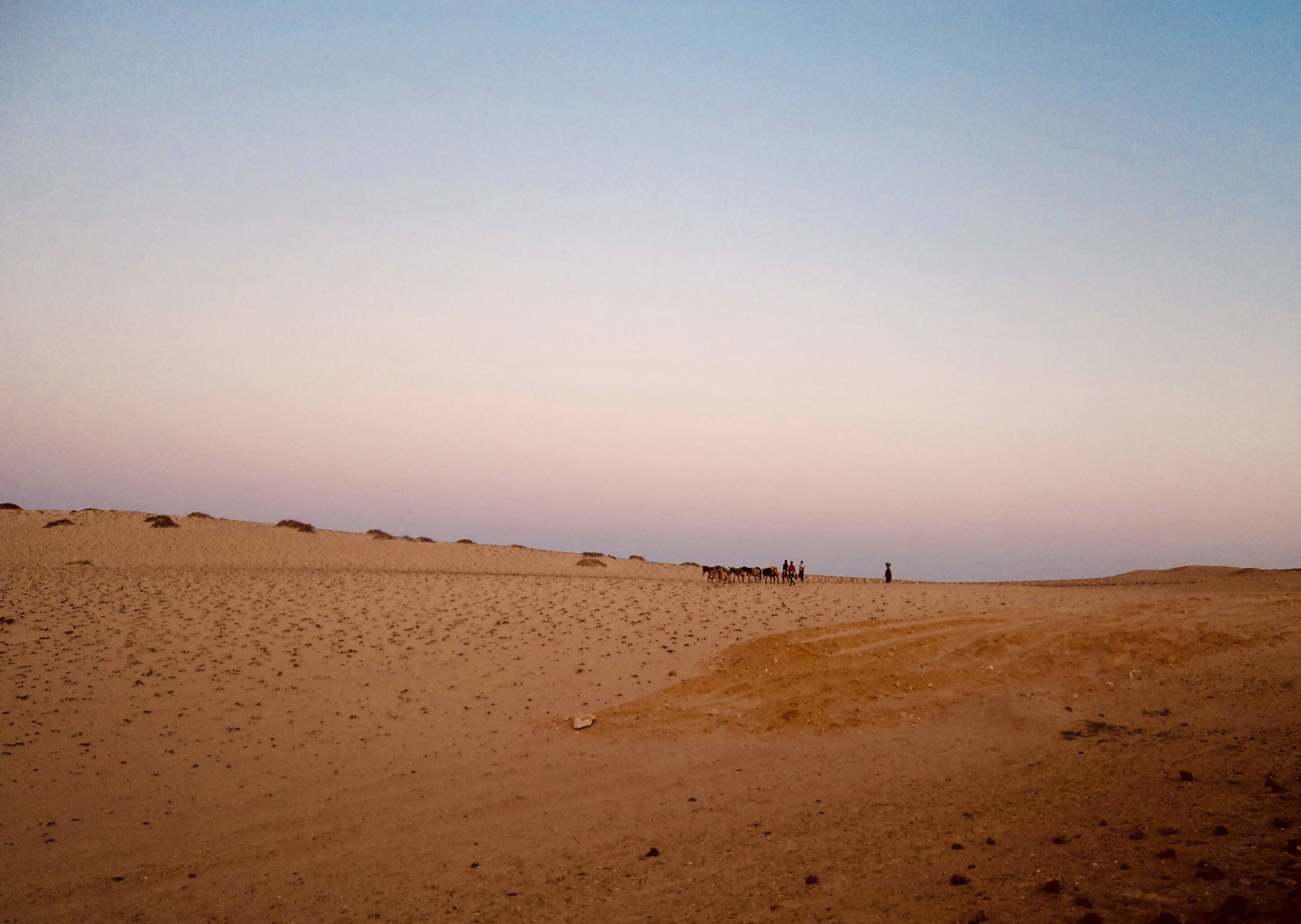 Featured image for Unveiling the Distinct Ancestry of Angolan Namib Inhabitants through Africa's Genetic Structure