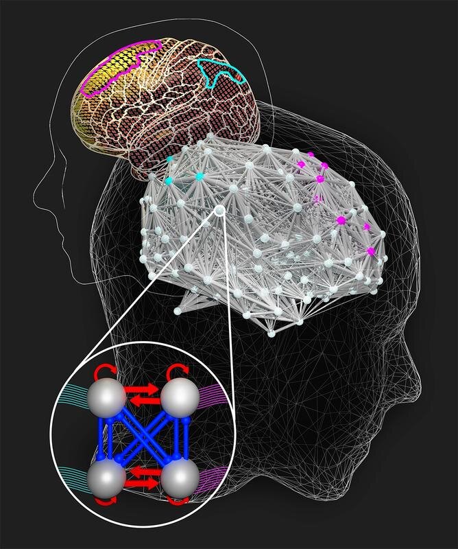 Featured image for Smart Brains Take More Time to Solve Complex Problems, Simulation Study Finds