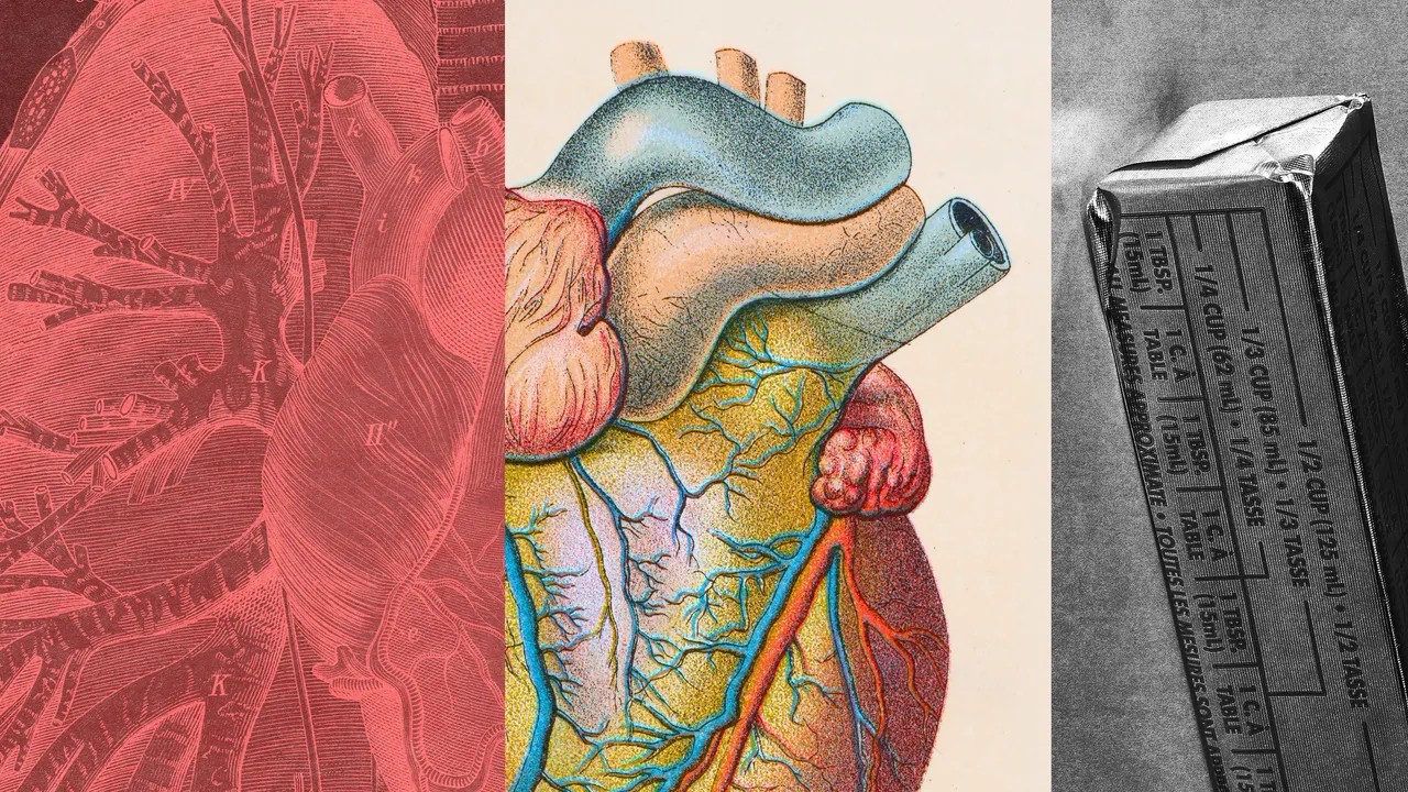 Featured image for Understanding LDL Cholesterol and Ways to Reduce It