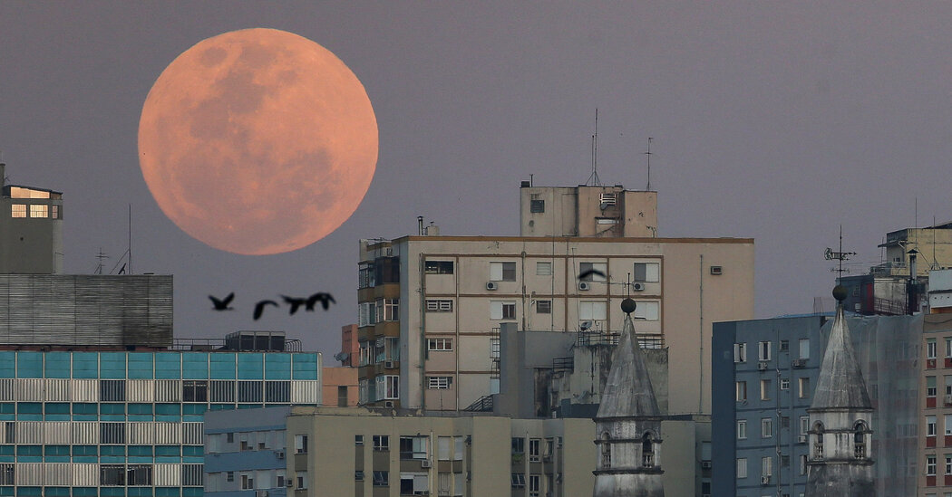 "The Impact of 'Our Moon' on Humanity: A Review by Rebecca Boyle"