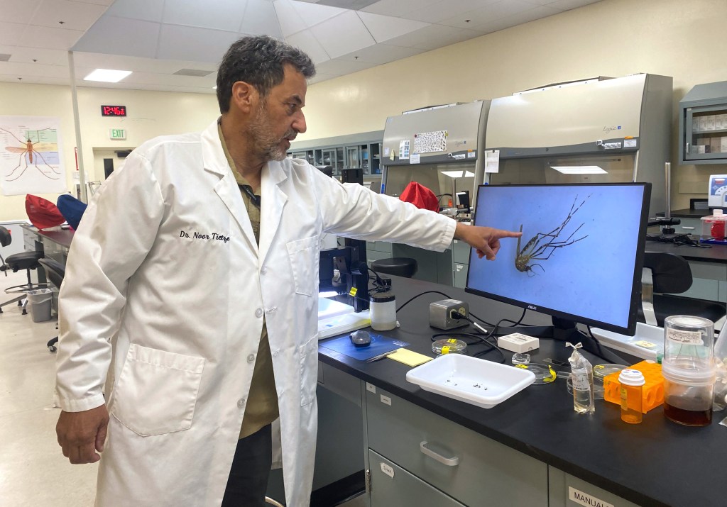 Featured image for Santa Clara County Intensifies Efforts to Eradicate Dangerous Mosquitoes