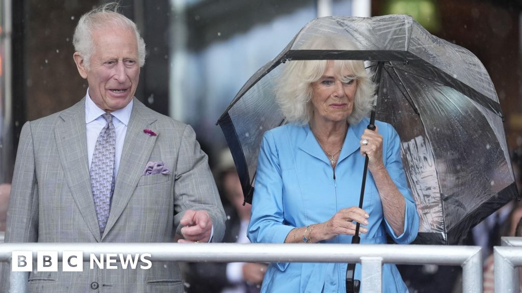 Featured image for "Scouts and Seagull Defy Rain for Royal Jersey Parade"