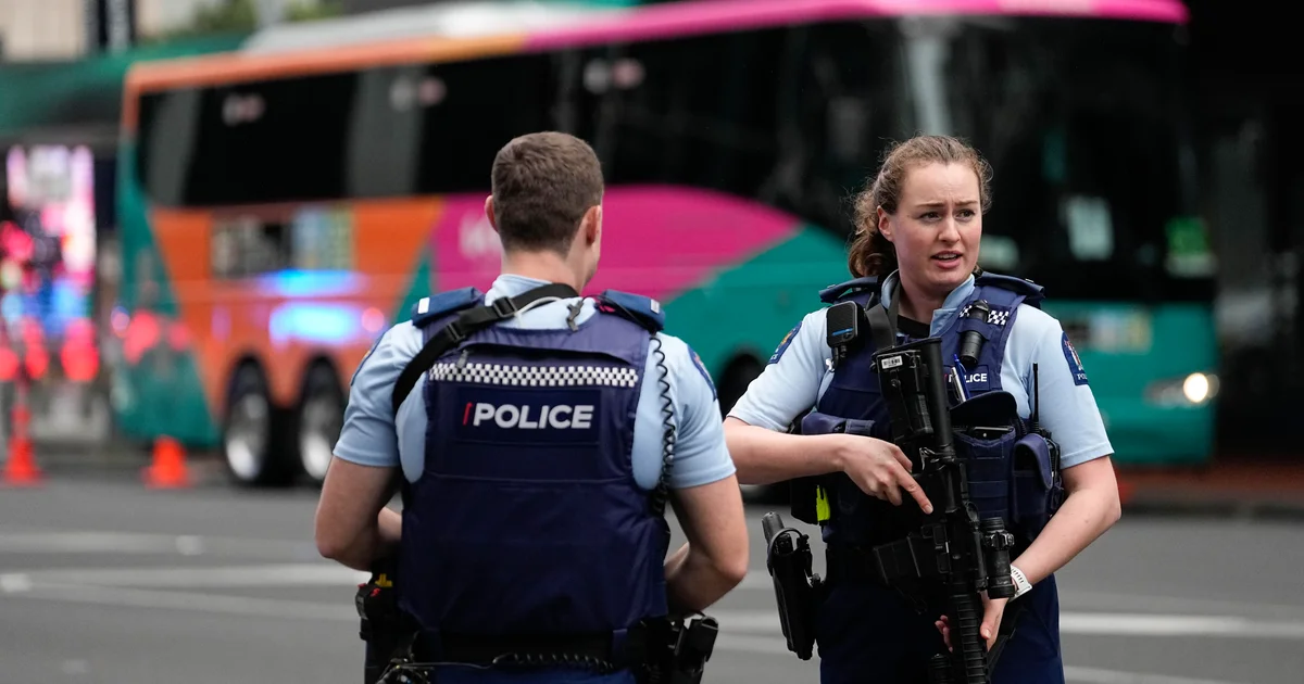 Featured image for New Zealand woman arrested after toddler found in suitcase on bus
