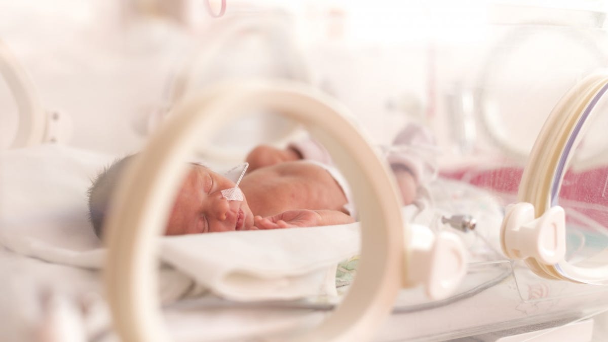Featured image for "Plastics and Chemicals Linked to Rising Preterm Births, Study Finds"