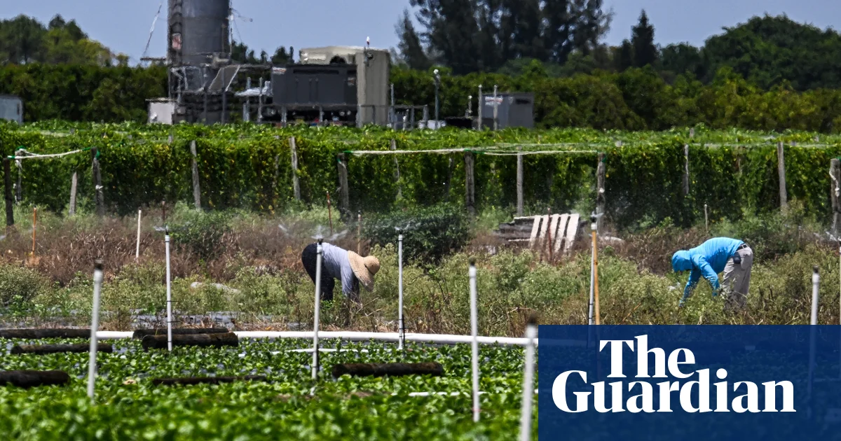 Featured image for Trump Reverses ICE Raid Policies Amid White House Turmoil