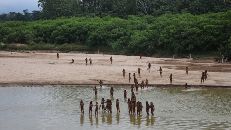 Featured image for Uncontacted Amazon Tribe Spotted Near Logging Activity in Rare Footage