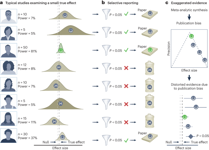 Featured image for "Unraveling the Truth: Debunking Exaggerated Effects in Ecology"