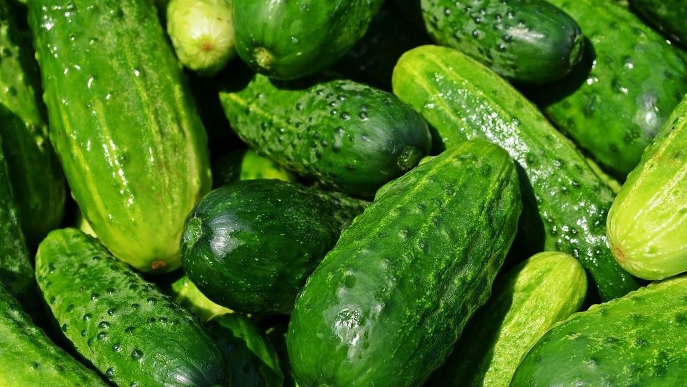 Featured image for Salmonella Outbreak Prompts Recall of Cucumbers and Eggs