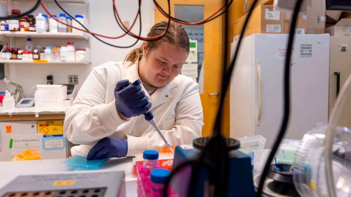 Featured image for Trump Administration Cuts Key HIV/AIDS Research and Services Funding