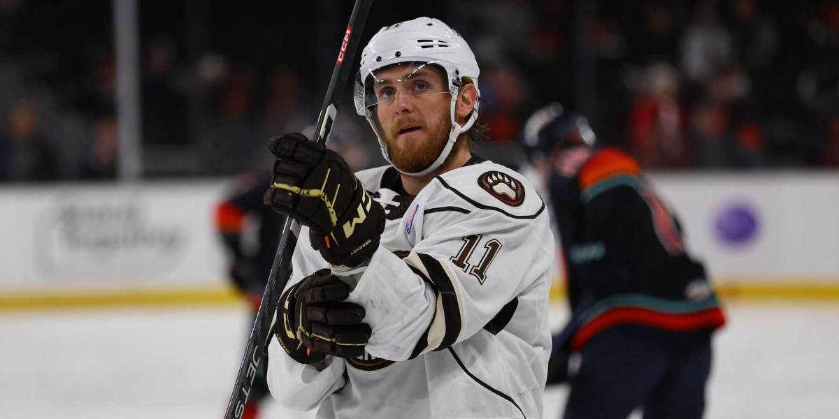 Featured image for Firebirds dominate Bears in Game 2 of Calder Cup Finals.