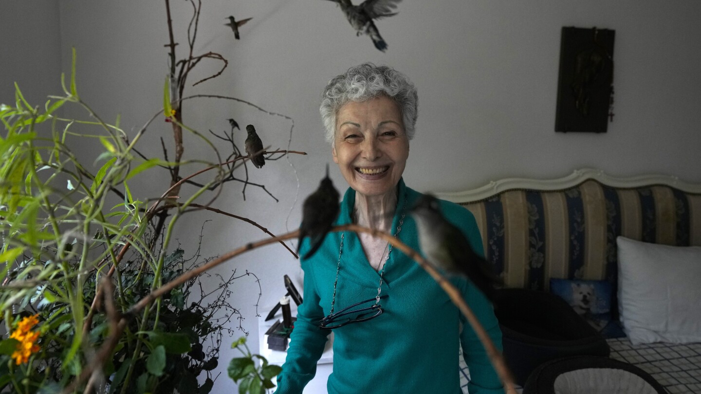 Featured image for "Mexican Woman Transforms Apartment into Hummingbird Haven"