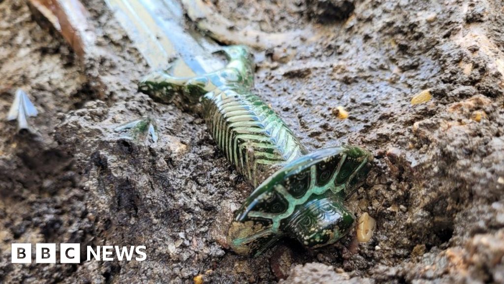 Featured image for 3000-year-old Bronze Sword Unearthed in Pristine Condition in Germany