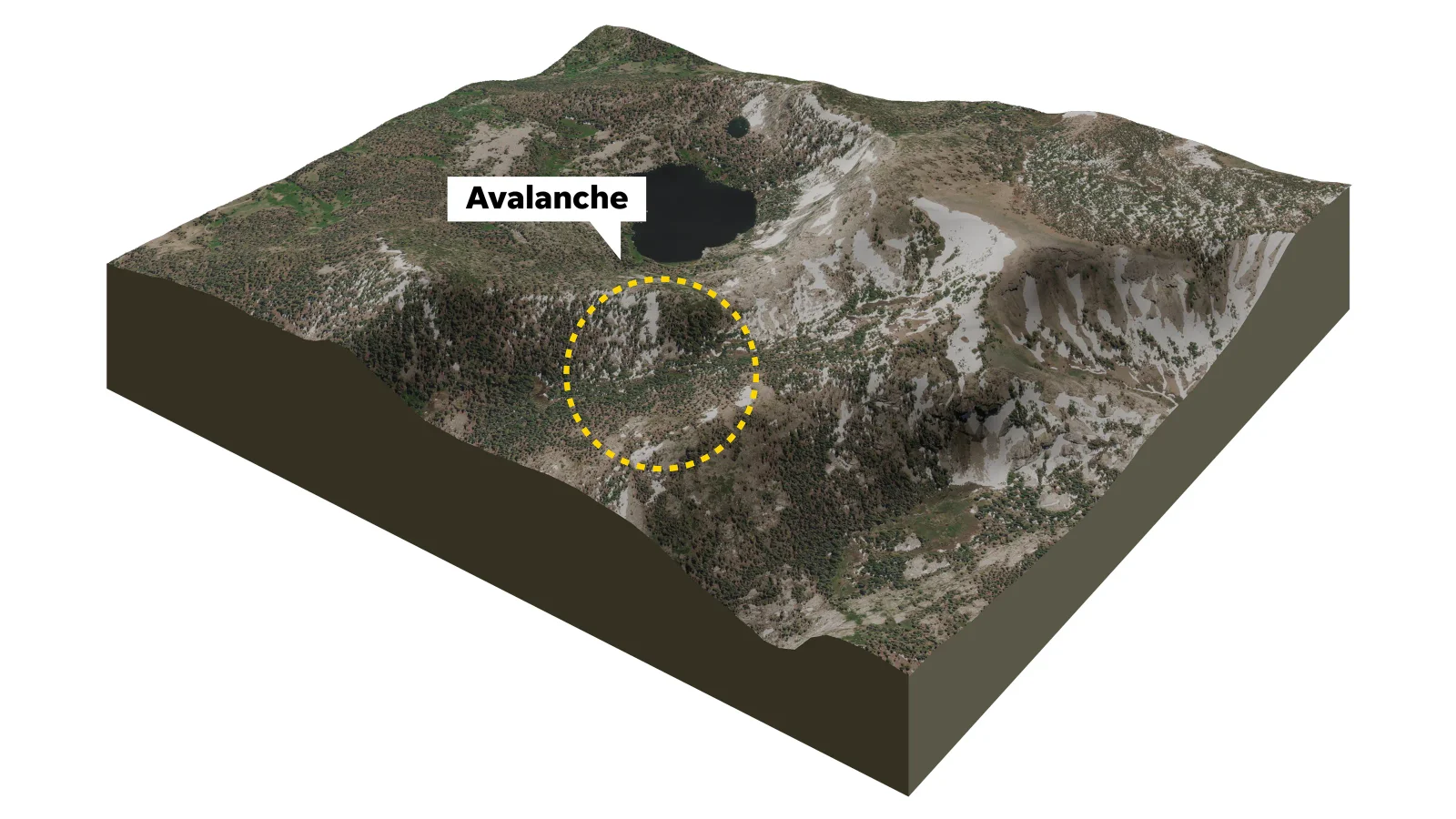 Nine victims, six survivors after Tahoe-area avalanche