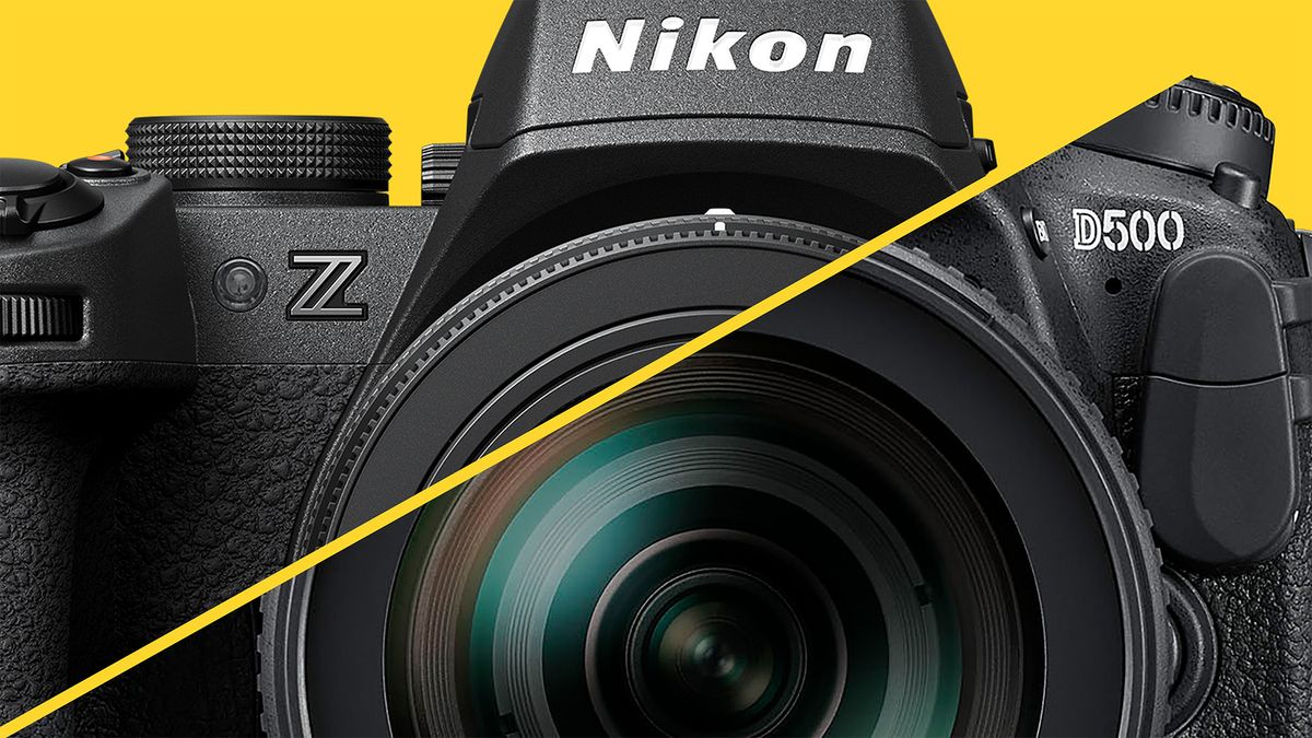 Featured image for Nikon Z50 II: The Entry-Level Powerhouse with Enhanced Features
