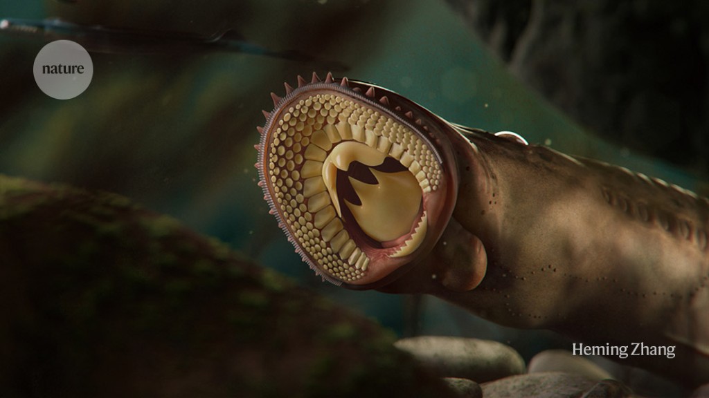 Featured image for Ancient Flesh-Eating Lampreys Resurface in China