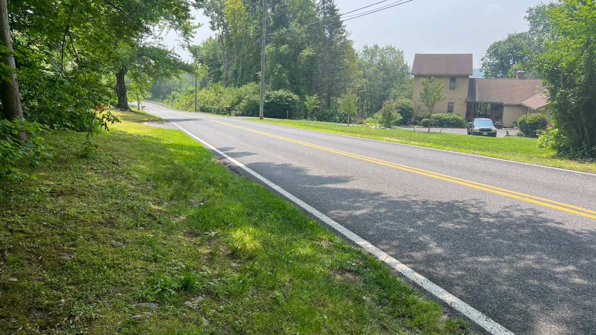 Bear Attacks in Litchfield: Heroic Rescues and Miraculous Recoveries
