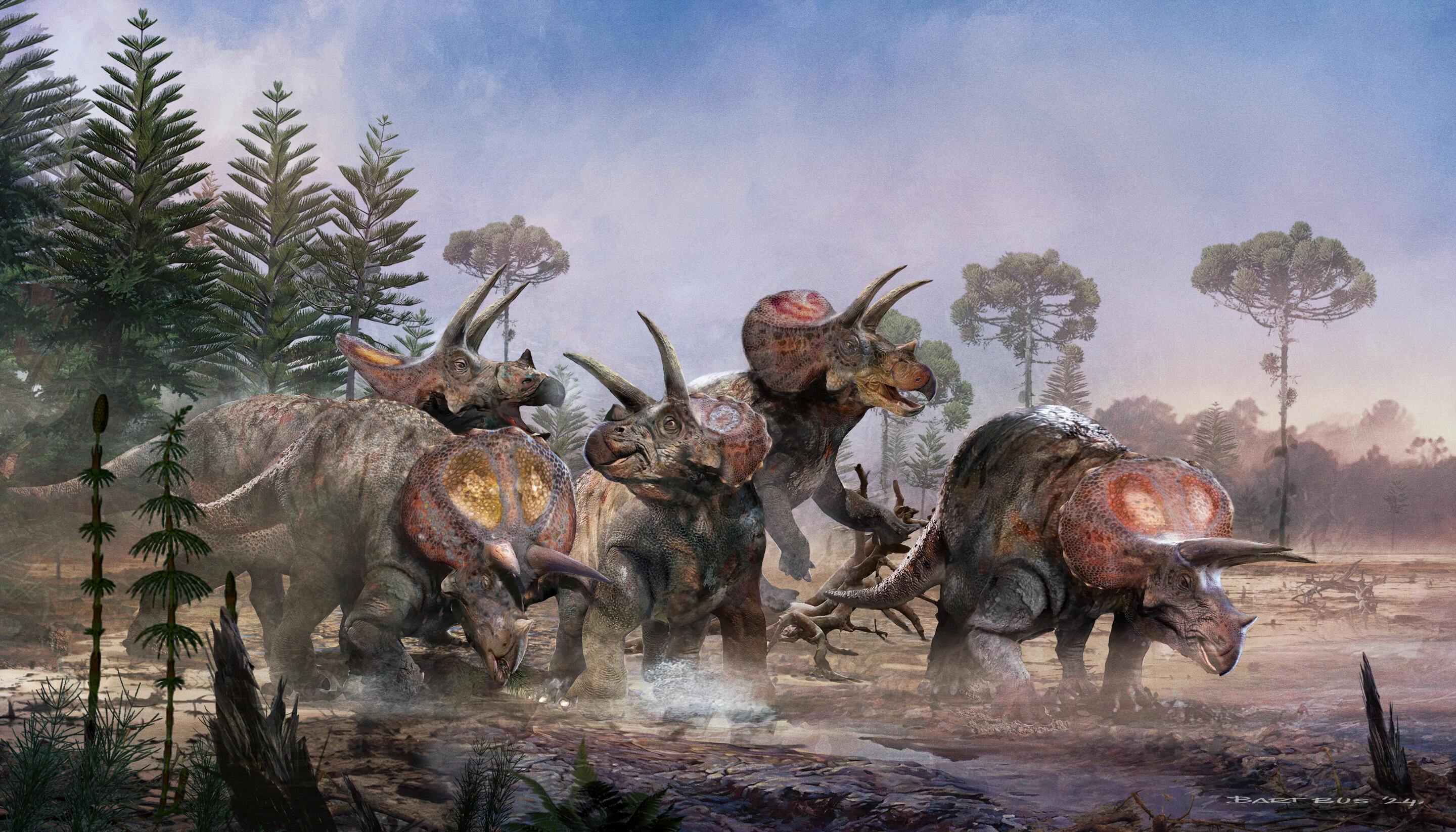 Featured image for "Herding Triceratops: Evidence of Social Behavior in Three-Horned Dinosaurs"