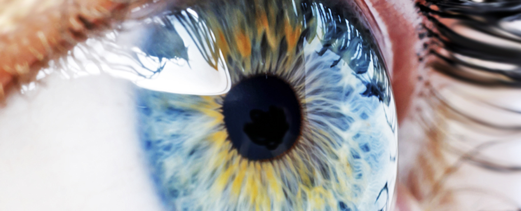 Revolutionary Nanotechnology: Scientists Successfully Regrow Retinal Cells, Offering Hope for Blindness Treatment