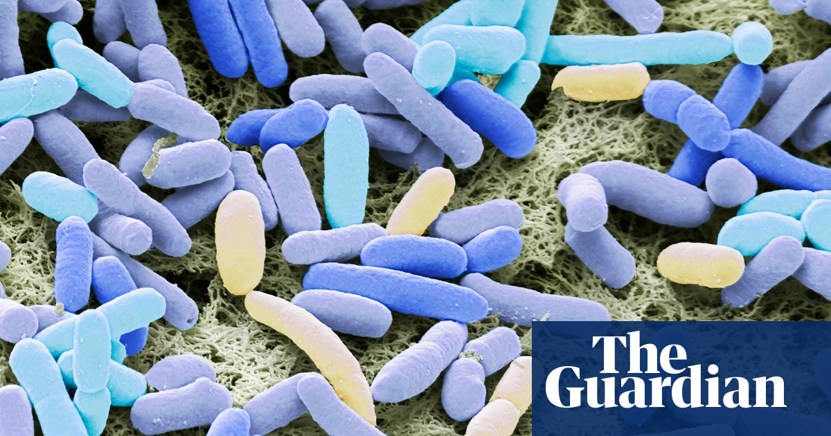 Featured image for WHO warns of global surge in antibiotic-resistant superbugs