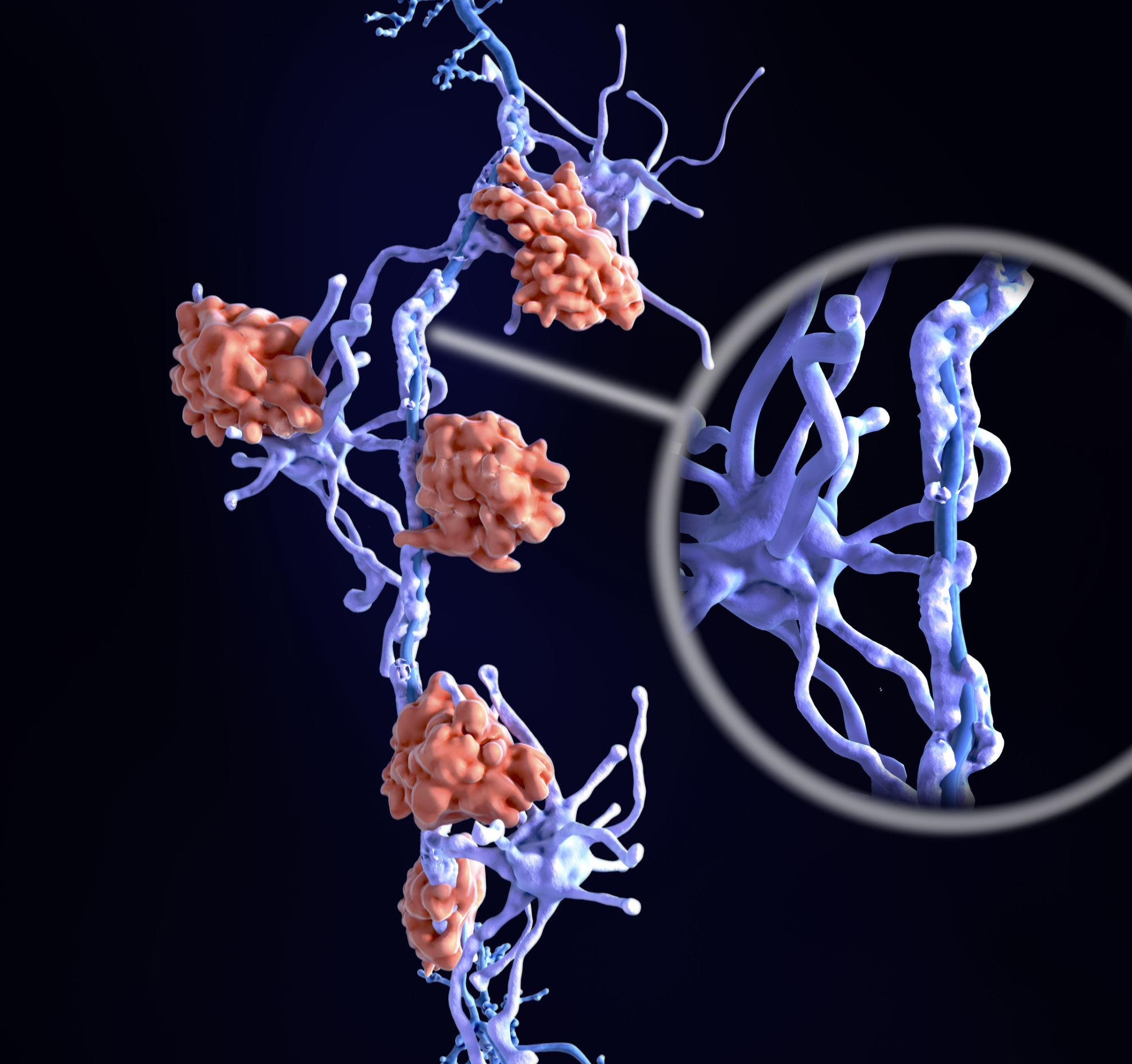 Featured image for Promising Medication Shows Potential to Reverse Multiple Sclerosis