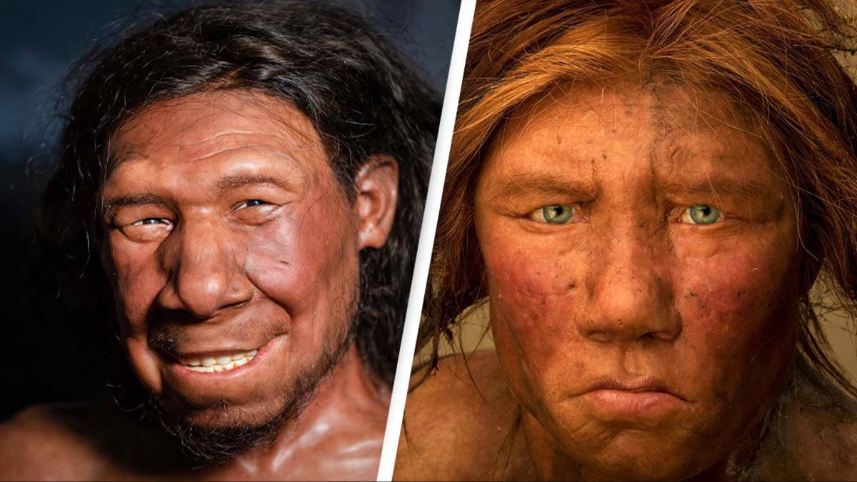 Featured image for "Unveiling 6 Quirky Traits Indicating Neanderthal DNA Presence"