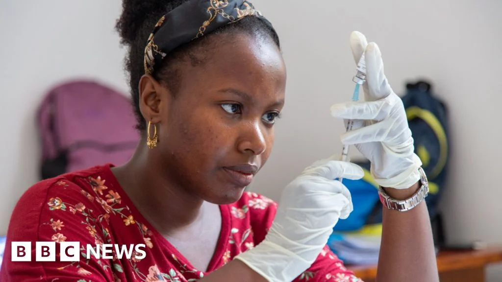 WHO Endorses Affordable Malaria Vaccine for African Rollout